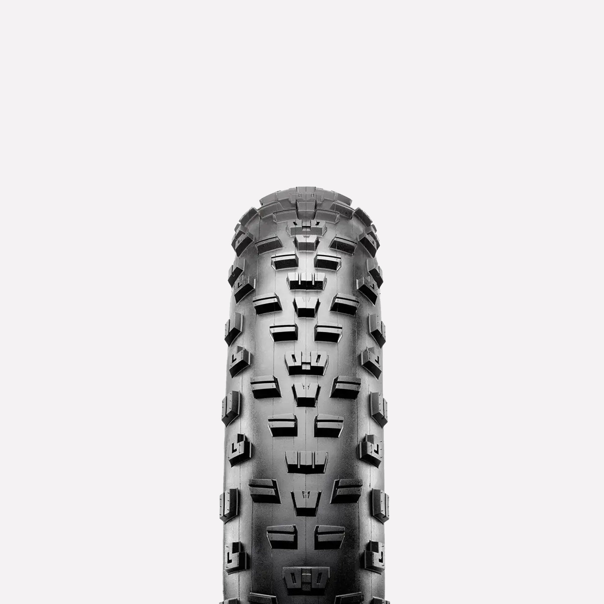 Maxxix Minion 26x4 Tire